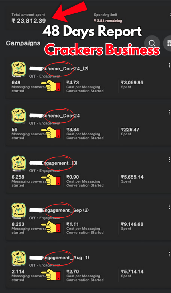 48 days report for Cracker Business, Engagement Campaign, whatsapp enquiry increase report