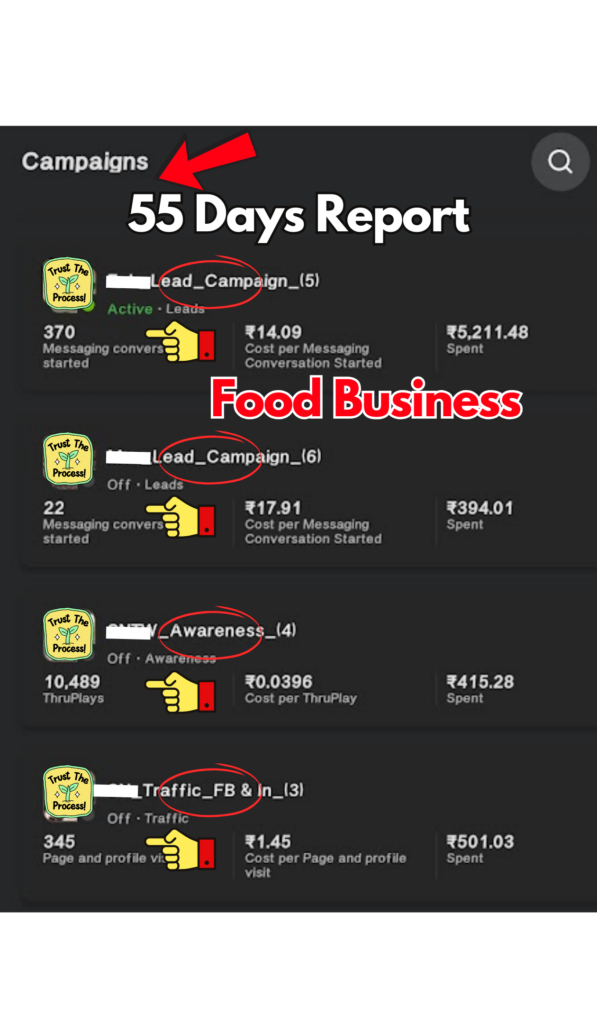 Food Industry business, 55 days Engagement campaign, Lead generation campaign, awareness campaign results screenshots